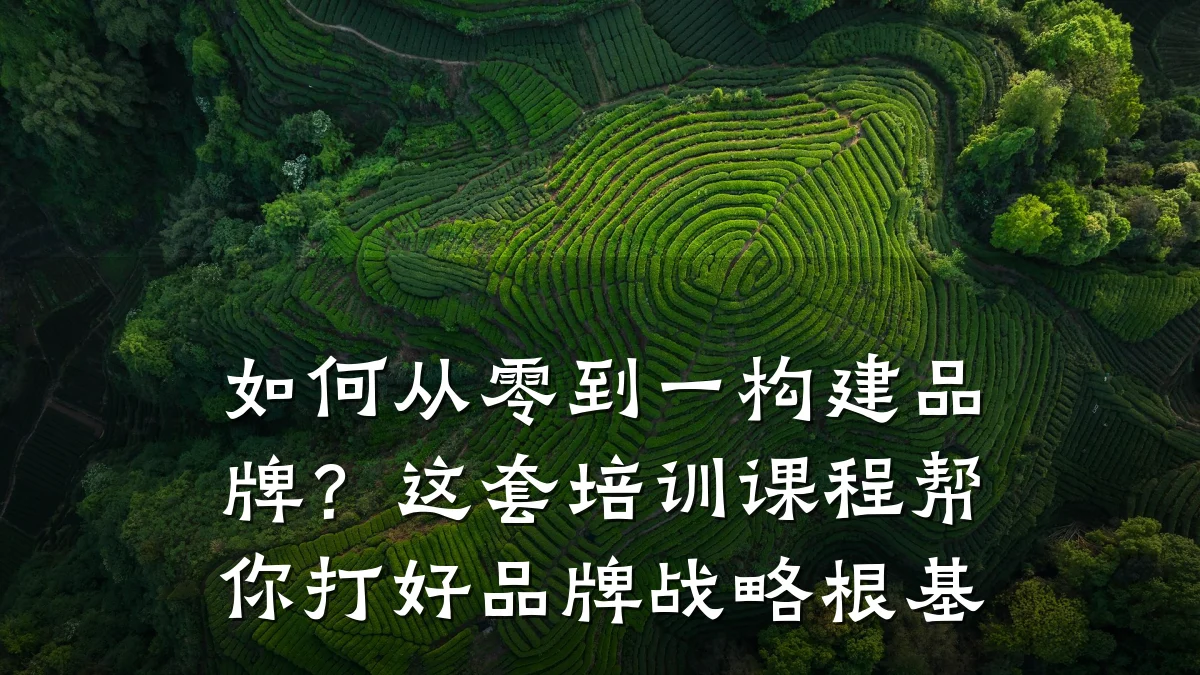 如何从零到一构建品牌？这套培训课程帮你打好品牌战略根基
