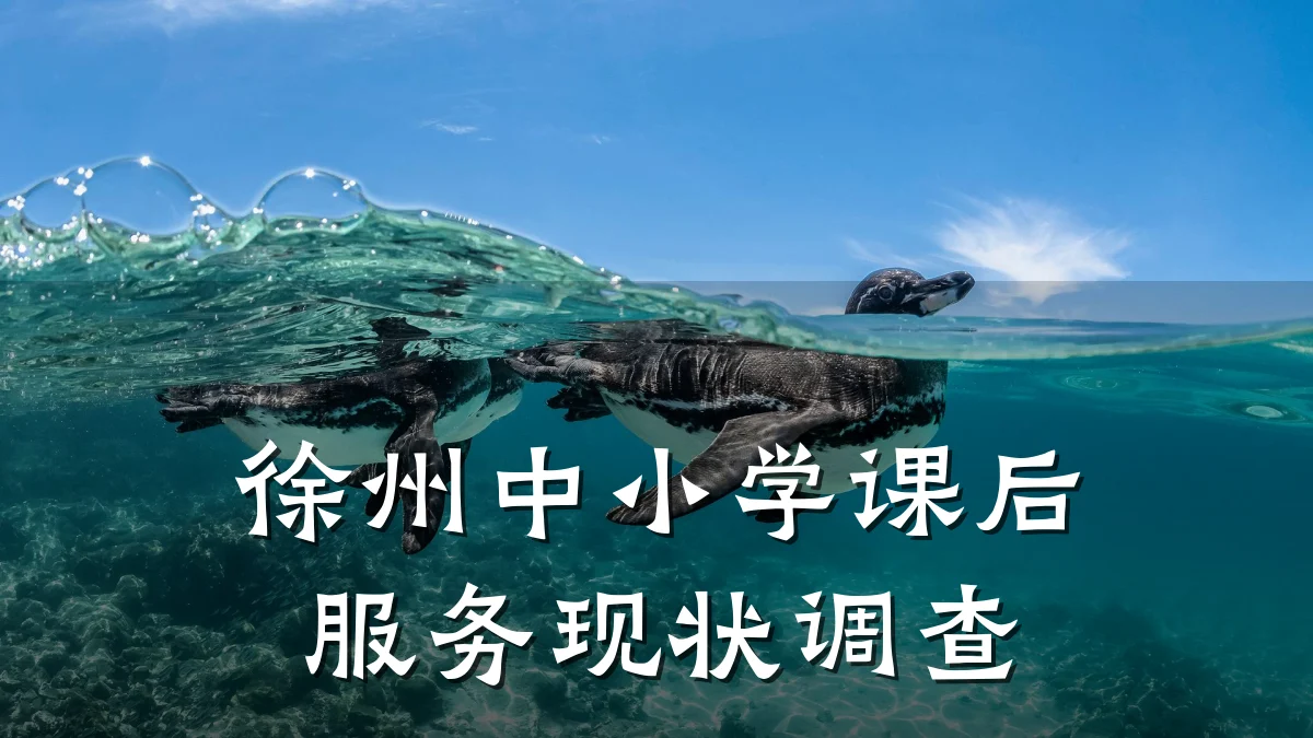 徐州中小学课后服务现状调查