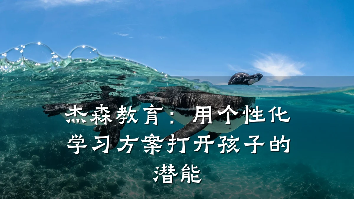 杰森教育：用个性化学习方案打开孩子的潜能