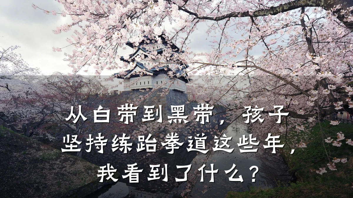 从白带到黑带，孩子坚持练跆拳道这些年，我看到了什么？