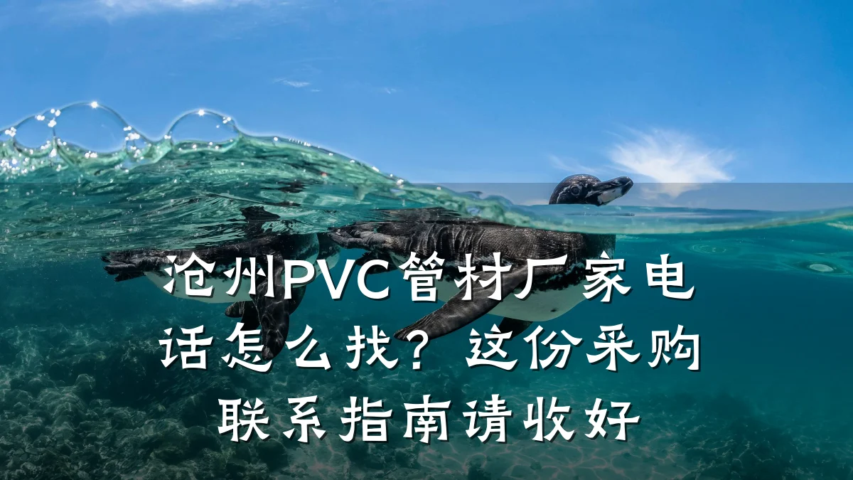 沧州PVC管材厂家电话怎么找？这份采购联系指南请收好
