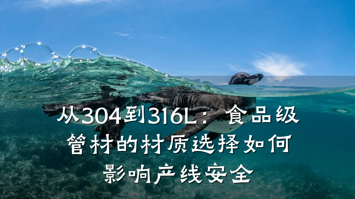 从304到316L：食品级管材的材质选择如何影响产线安全
