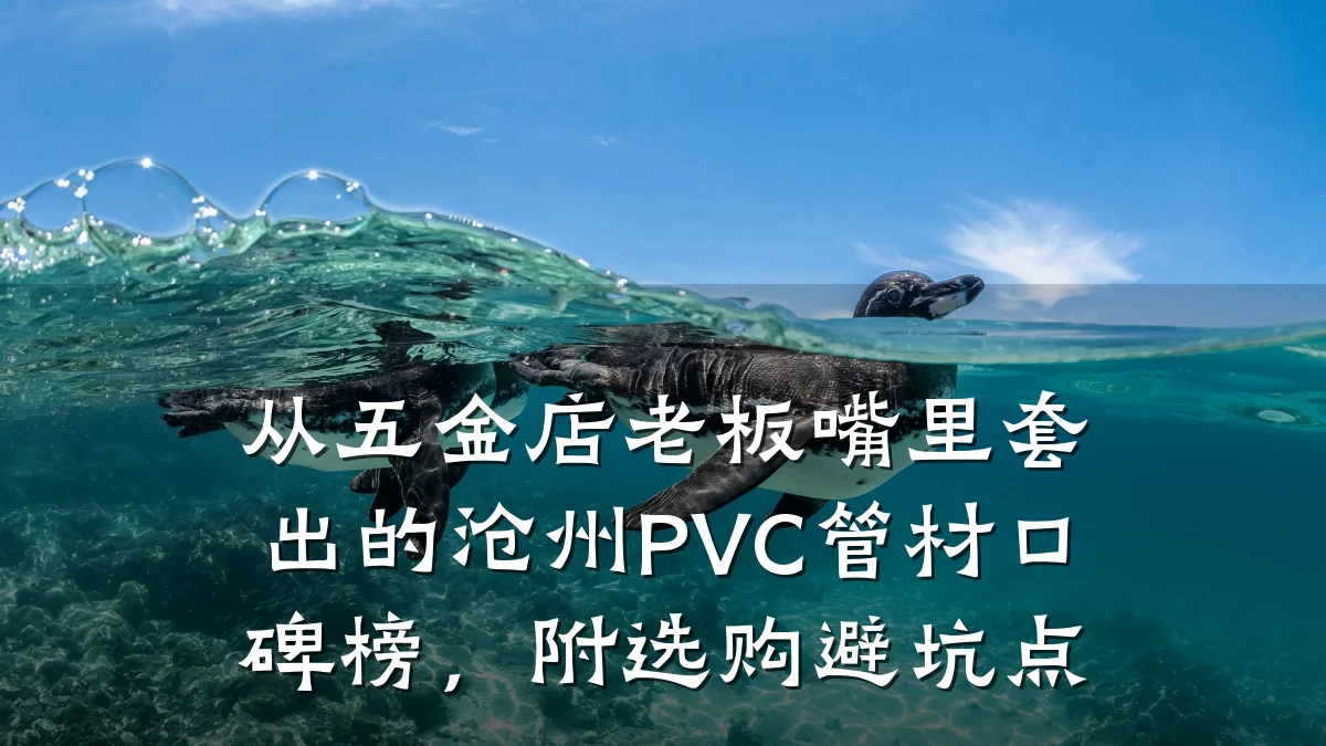 从五金店老板嘴里套出的沧州PVC管材口碑榜，附选购避坑点