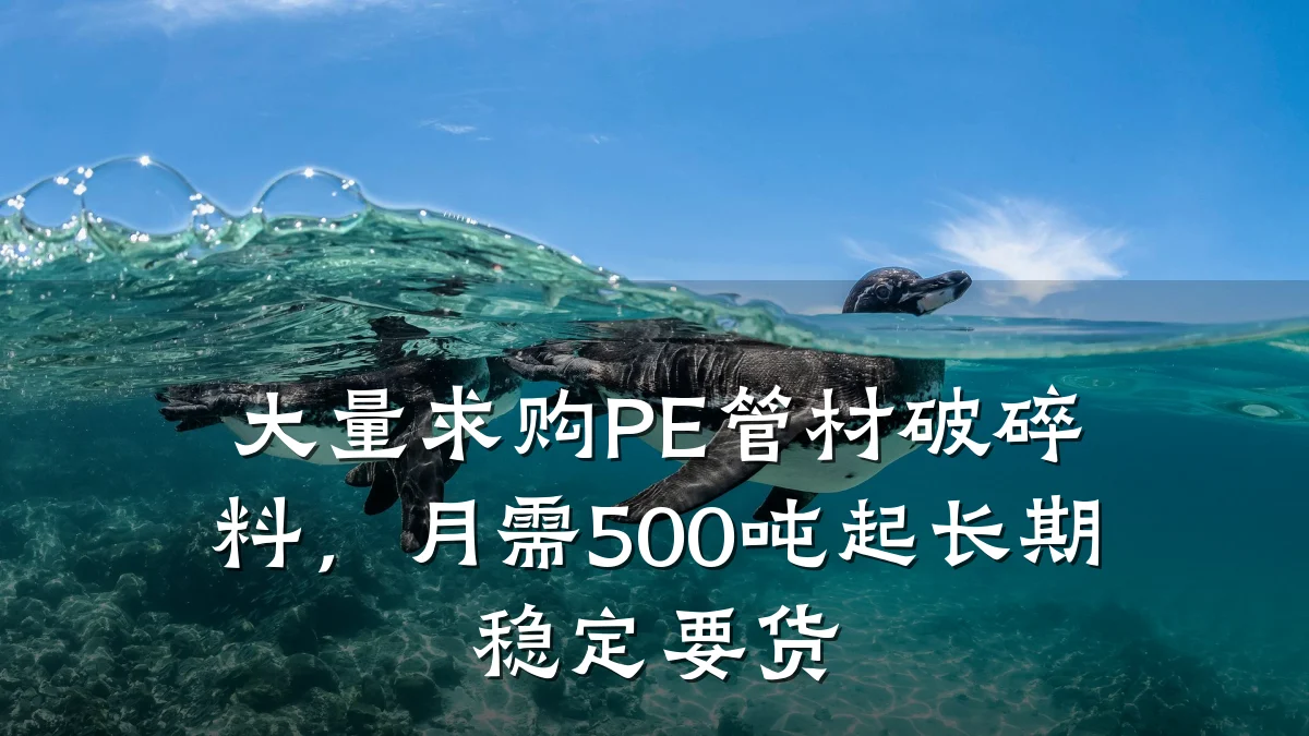 大量求购PE管材破碎料，月需500吨起长期稳定要货