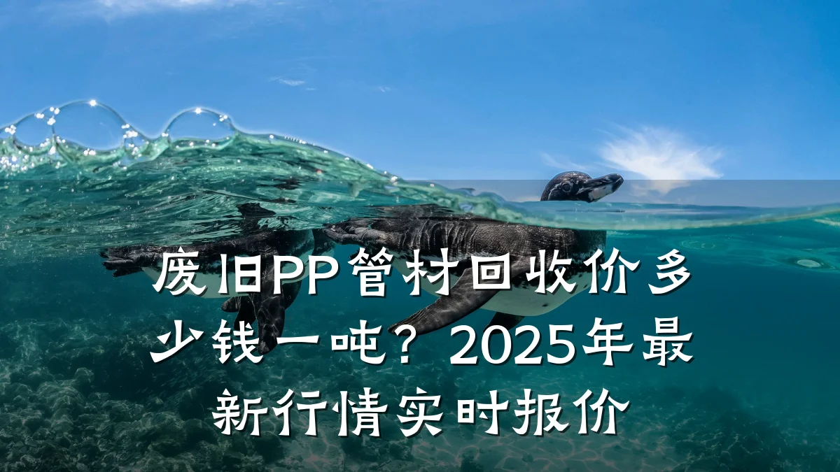 废旧PP管材回收价多少钱一吨？2025年最新行情实时报价