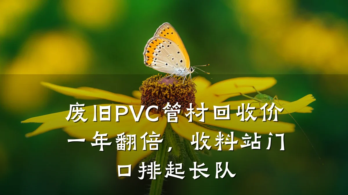 废旧PVC管材回收价一年翻倍,收料站门口排起长队