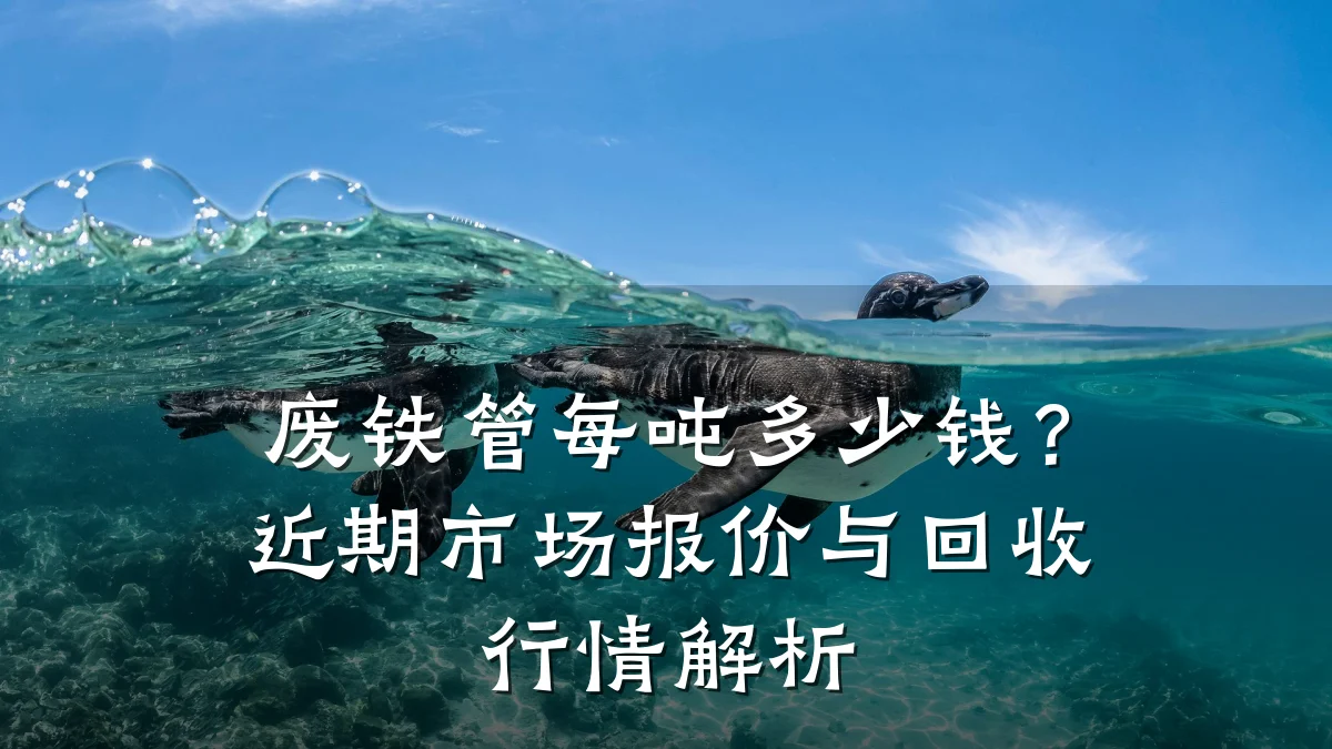废铁管每吨多少钱？近期市场报价与回收行情解析