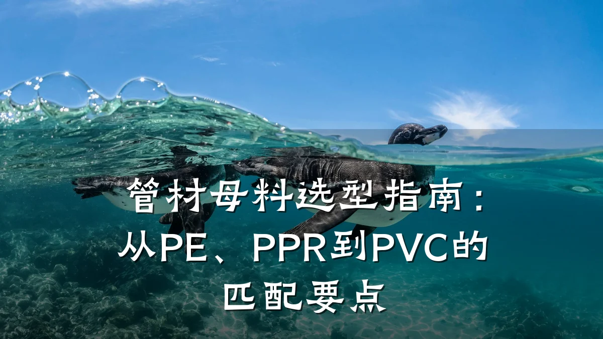 管材母料选型指南：从PE、PPR到PVC的匹配要点