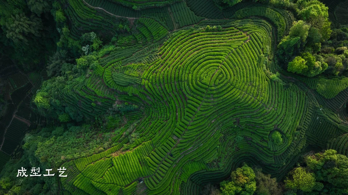 成型工艺