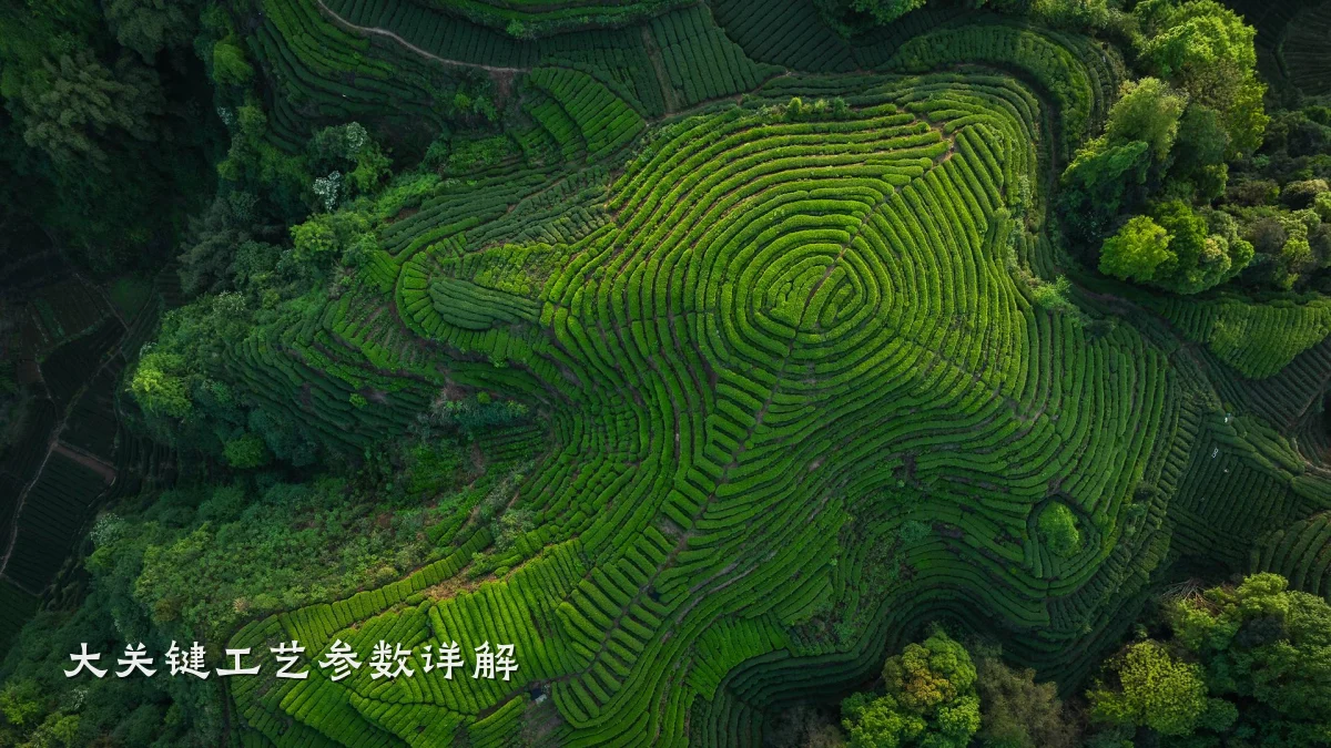 大关键工艺参数详解