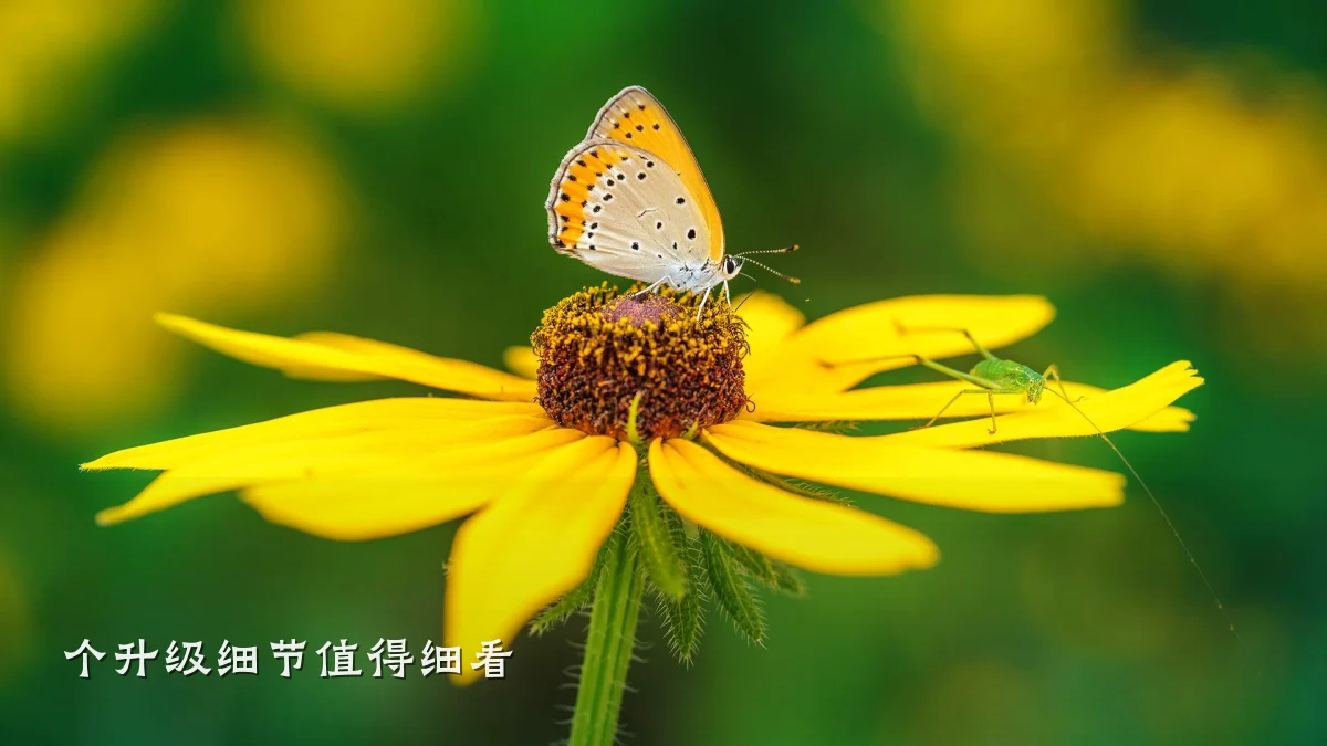 个升级细节值得细看