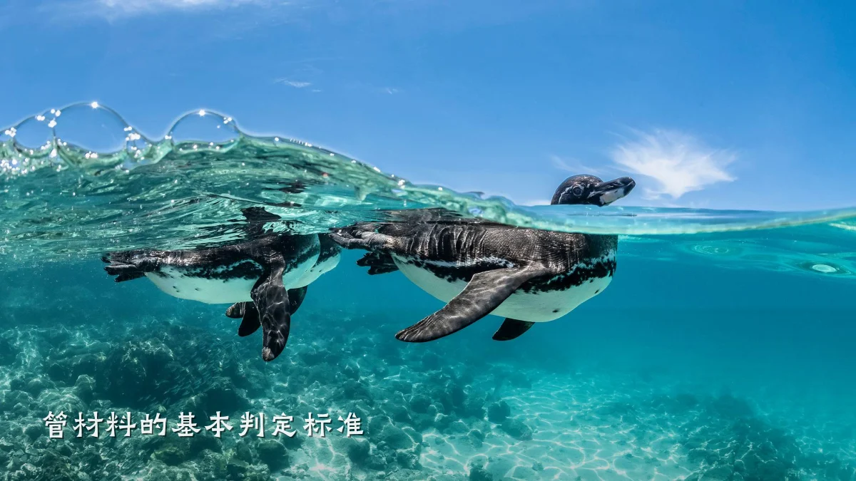 管材料的基本判定标准