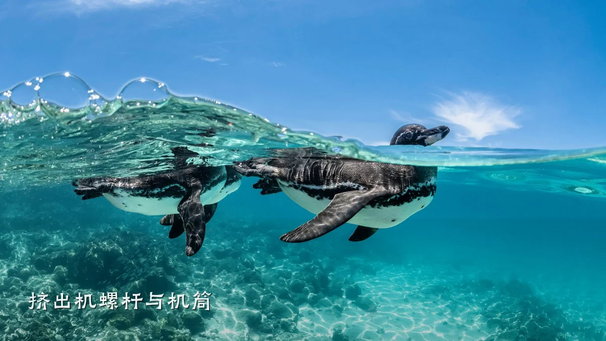 挤出机螺杆与机筒