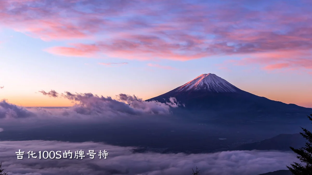 吉化100S的牌号特