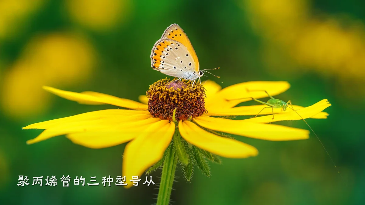 聚丙烯管的三种型号从