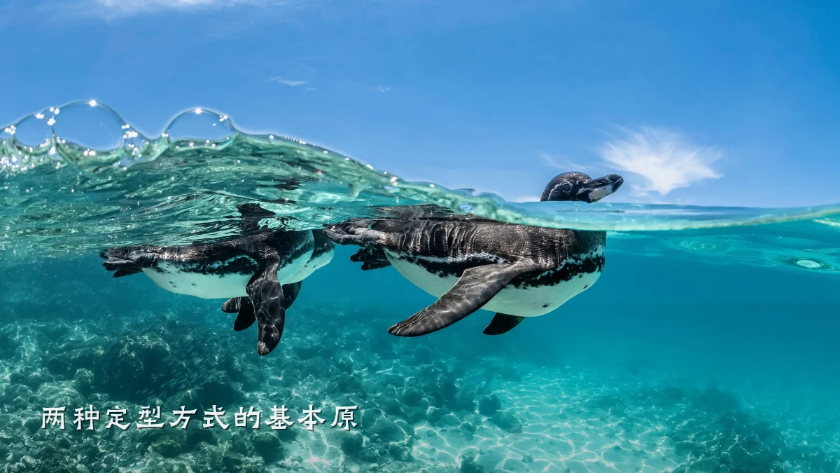 两种定型方式的基本原