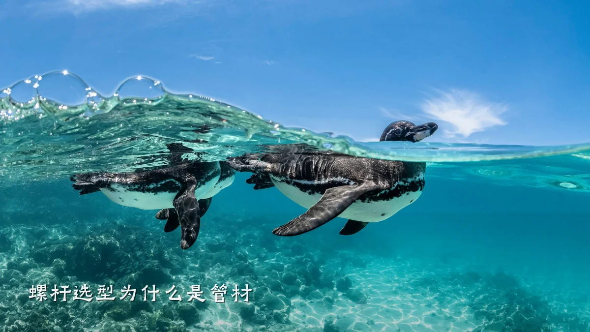 螺杆选型为什么是管材