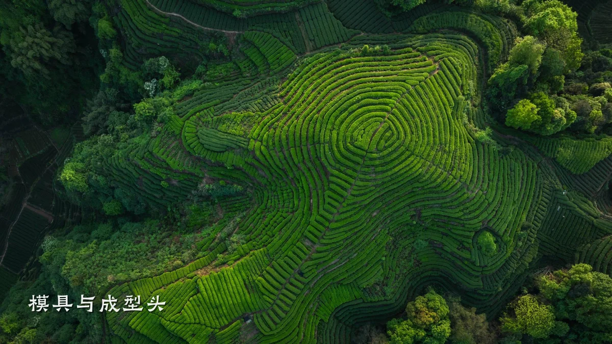 模具与成型头