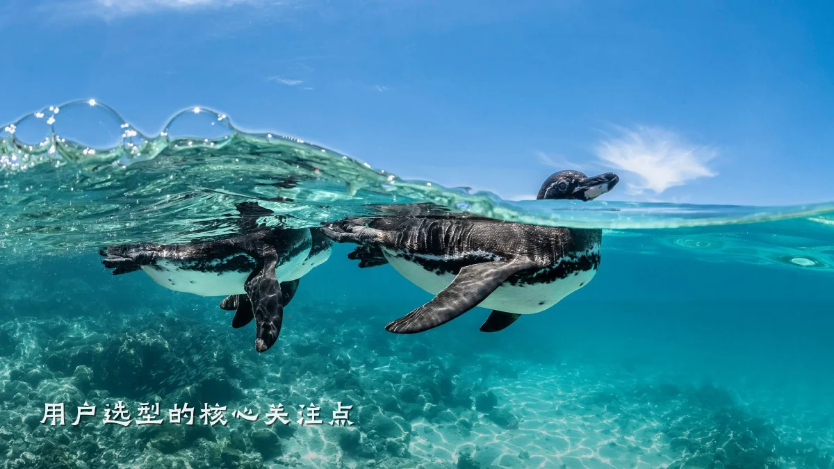 用户选型的核心关注点