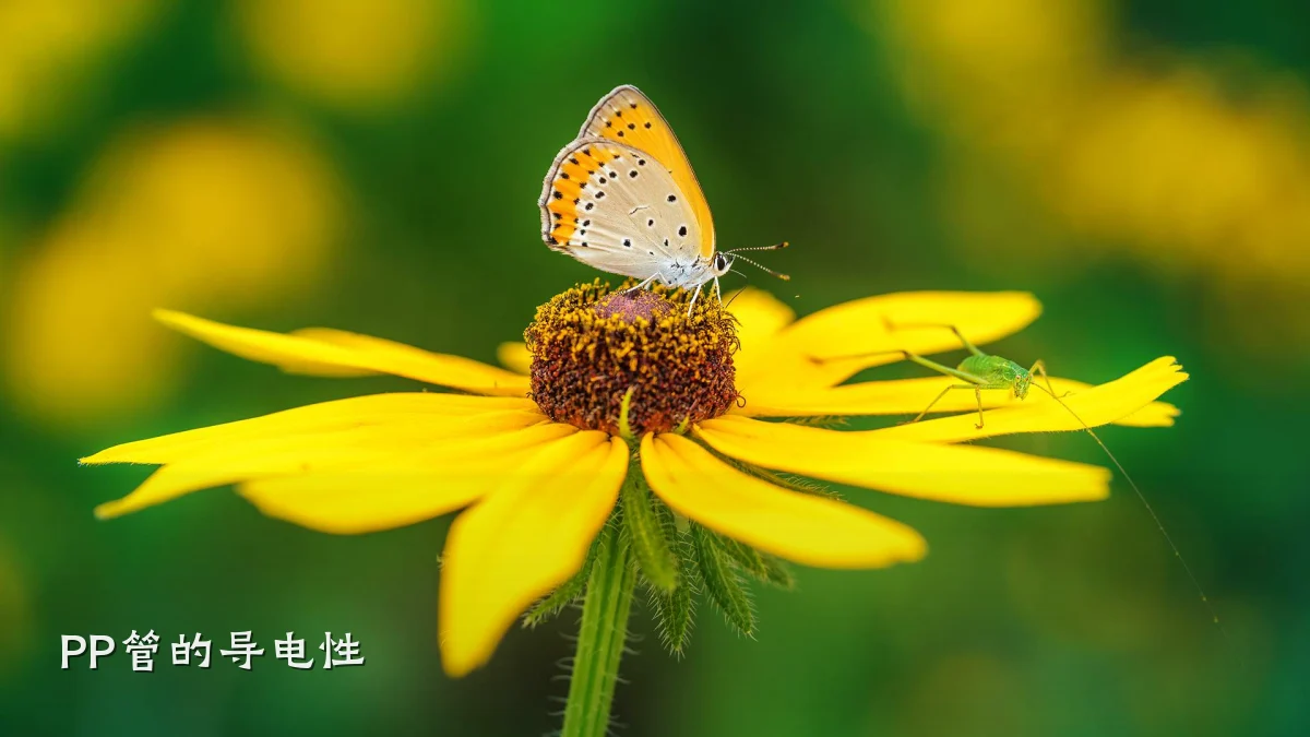 PP管的导电性