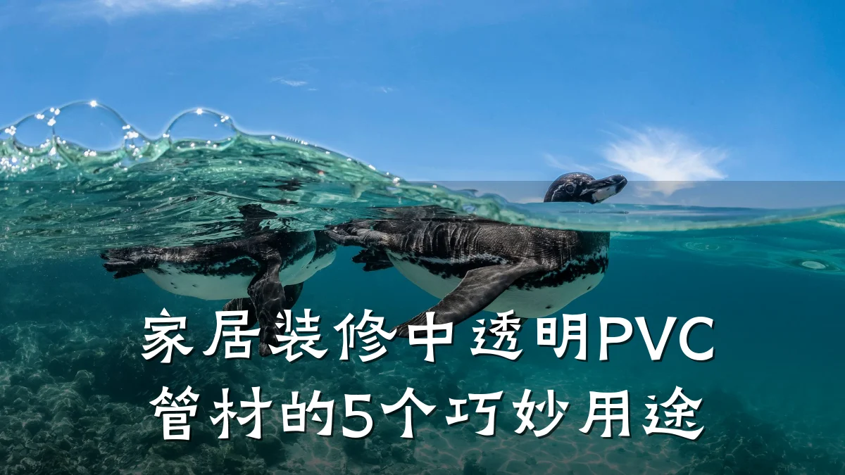 家居装修中透明PVC管材的5个巧妙用途