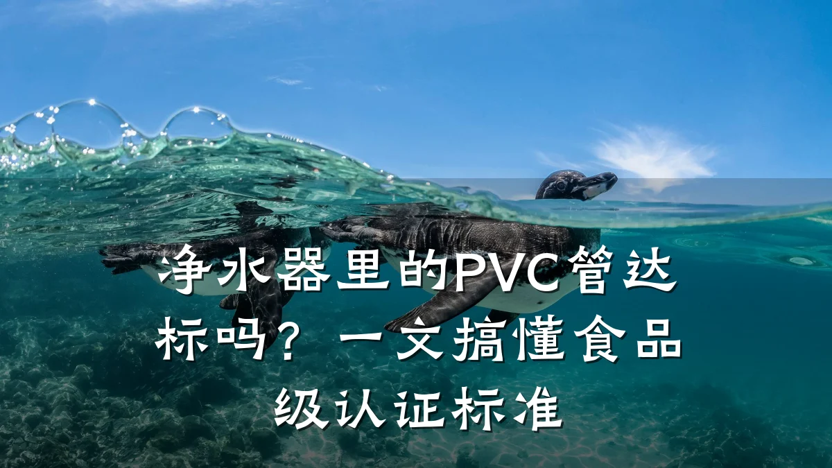 净水器里的PVC管达标吗？一文搞懂食品级认证标准