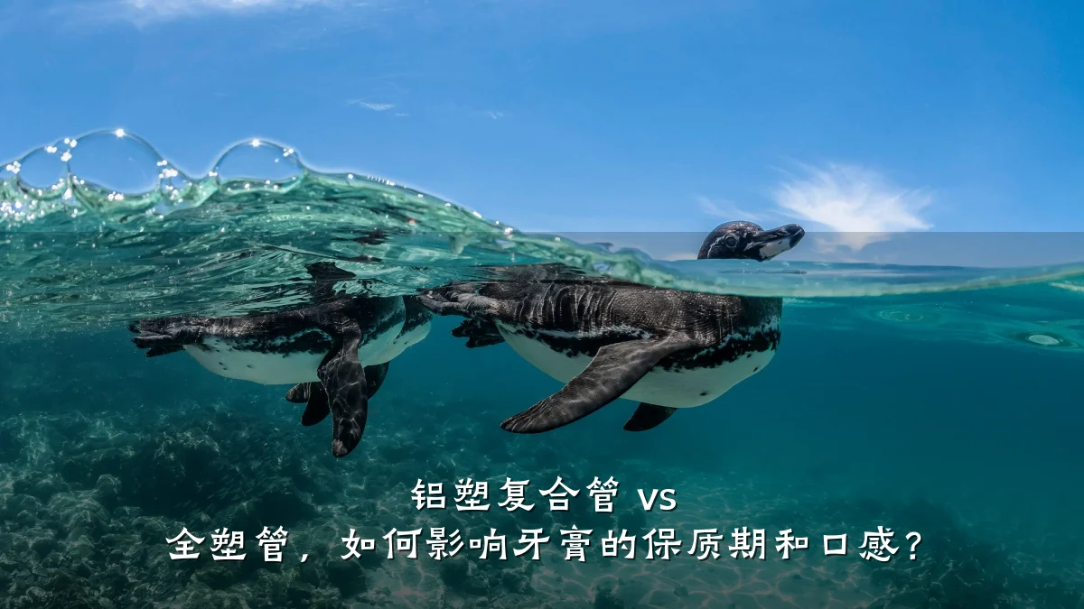 铝塑复合管 vs 全塑管，如何影响牙膏的保质期和口感？