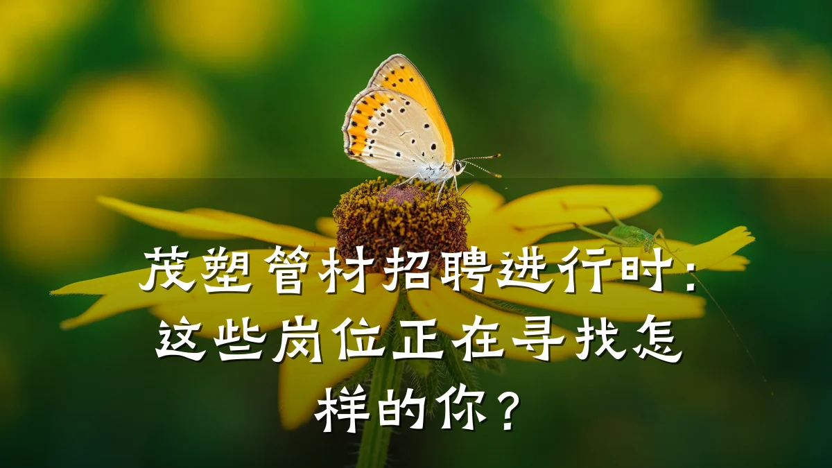茂塑管材招聘进行时：这些岗位正在寻找怎样的你？