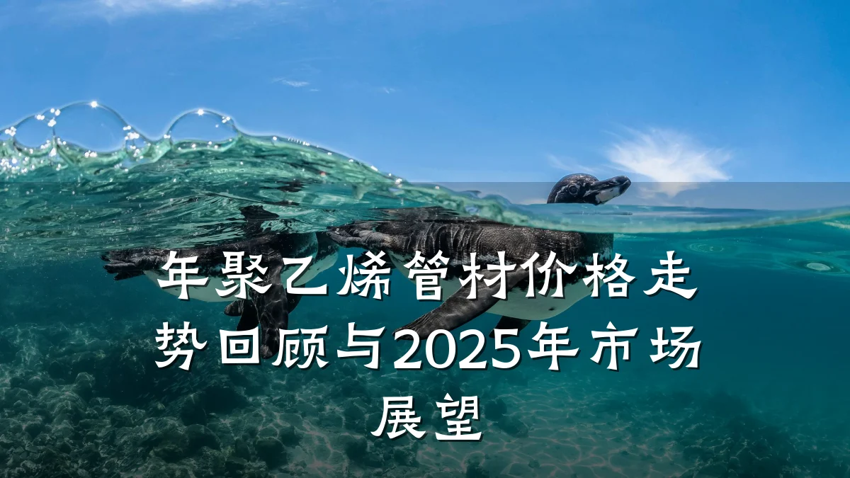 年聚乙烯管材价格走势回顾与2025年市场展望