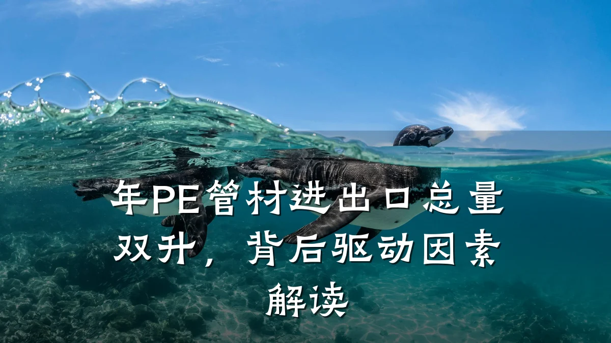 年PE管材进出口总量双升,背后驱动因素解读