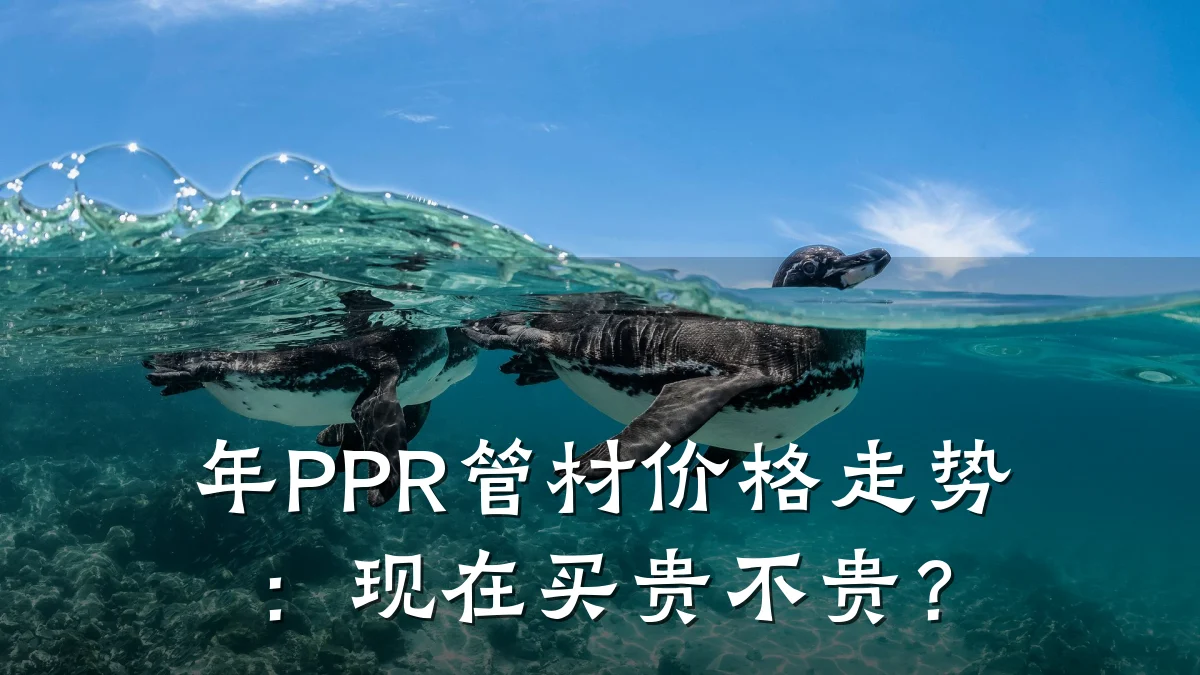 年PPR管材价格走势：现在买贵不贵？