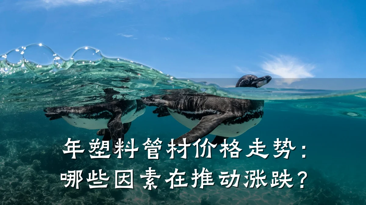 年塑料管材价格走势：哪些因素在推动涨跌？