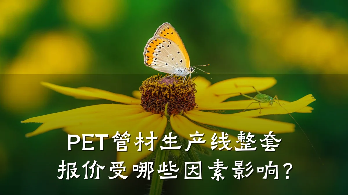 PET管材生产线整套报价受哪些因素影响？