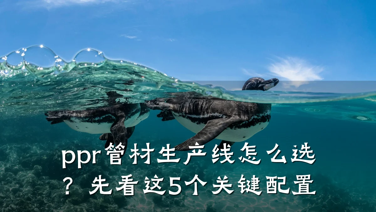 ppr管材生产线怎么选？先看这5个关键配置
