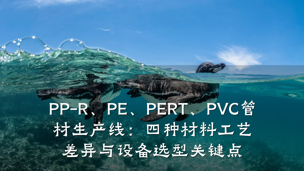 PP-R、PE、PERT、PVC管材生产线：四种材料工艺差异与设备选型关键点
