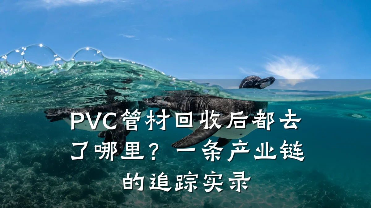 PVC管材回收后都去了哪里?一条产业链的追踪实录