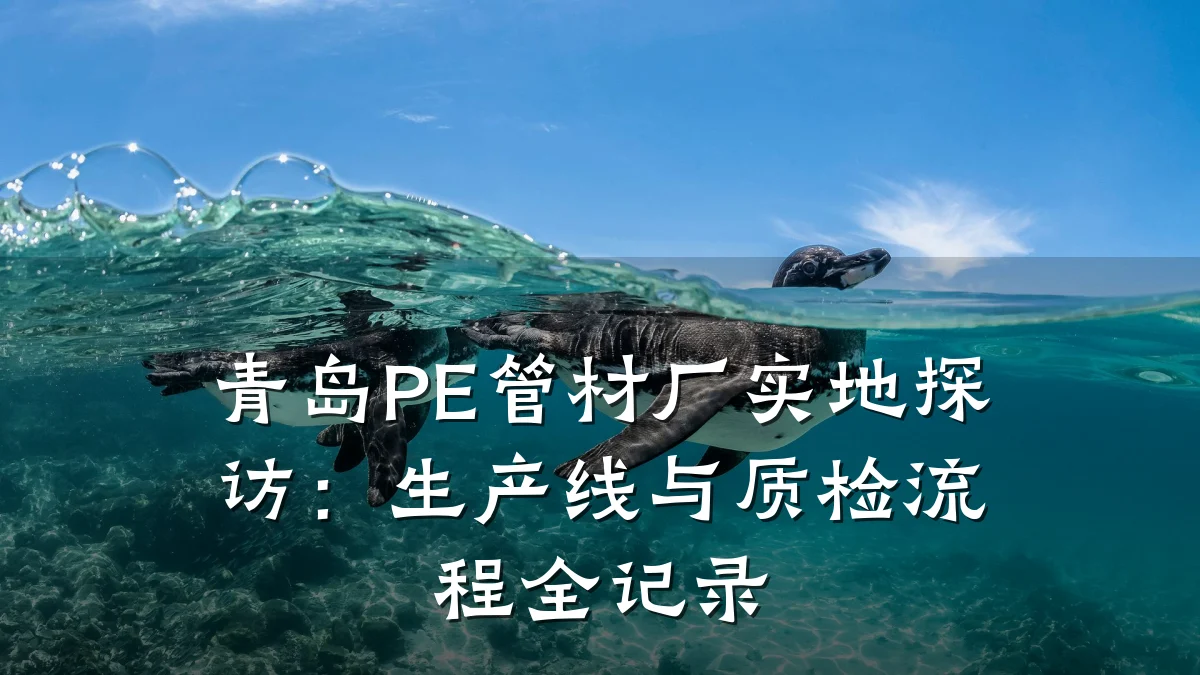 青岛PE管材厂实地探访：生产线与质检流程全记录