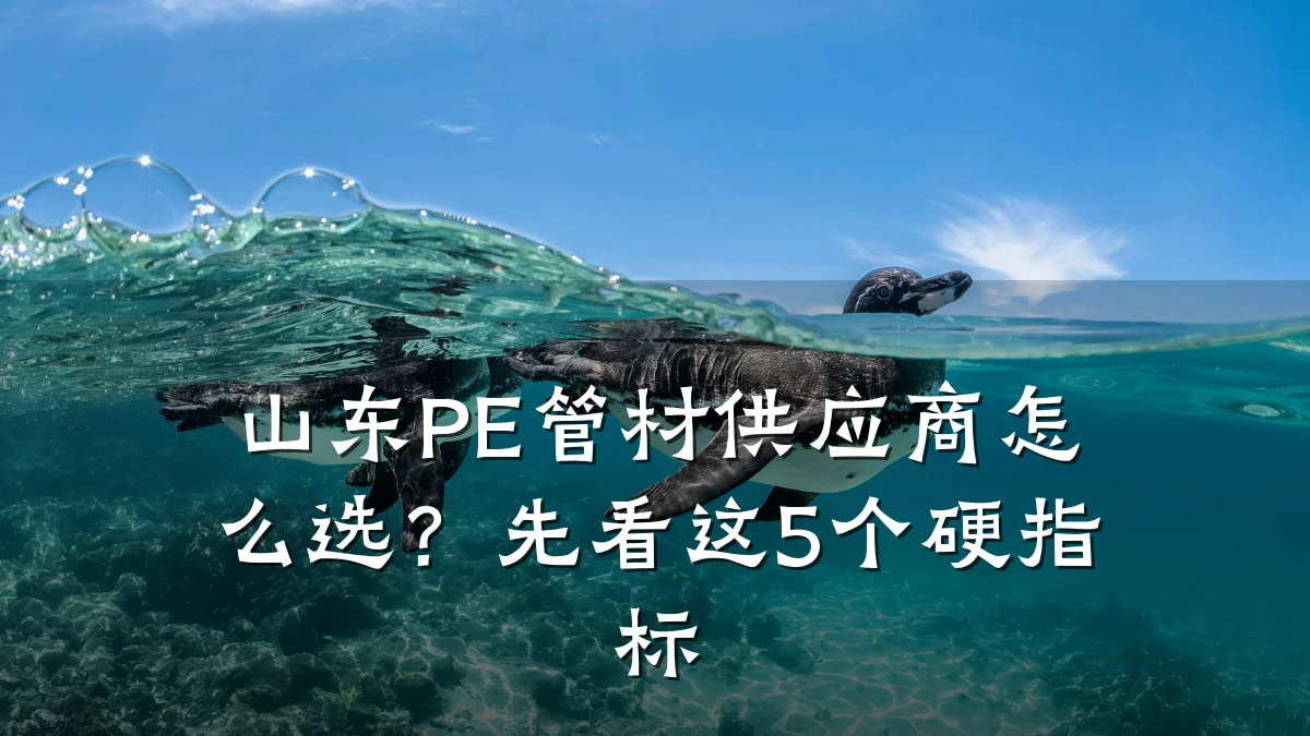 山东PE管材供应商怎么选？先看这5个硬指标