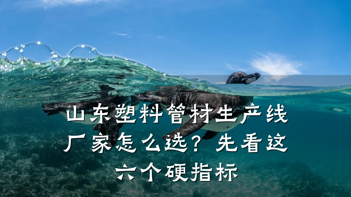 山东塑料管材生产线厂家怎么选？先看这六个硬指标