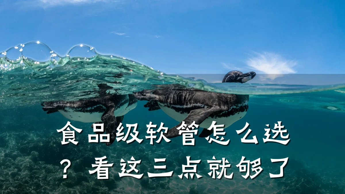 食品级软管怎么选?看这三点就够了