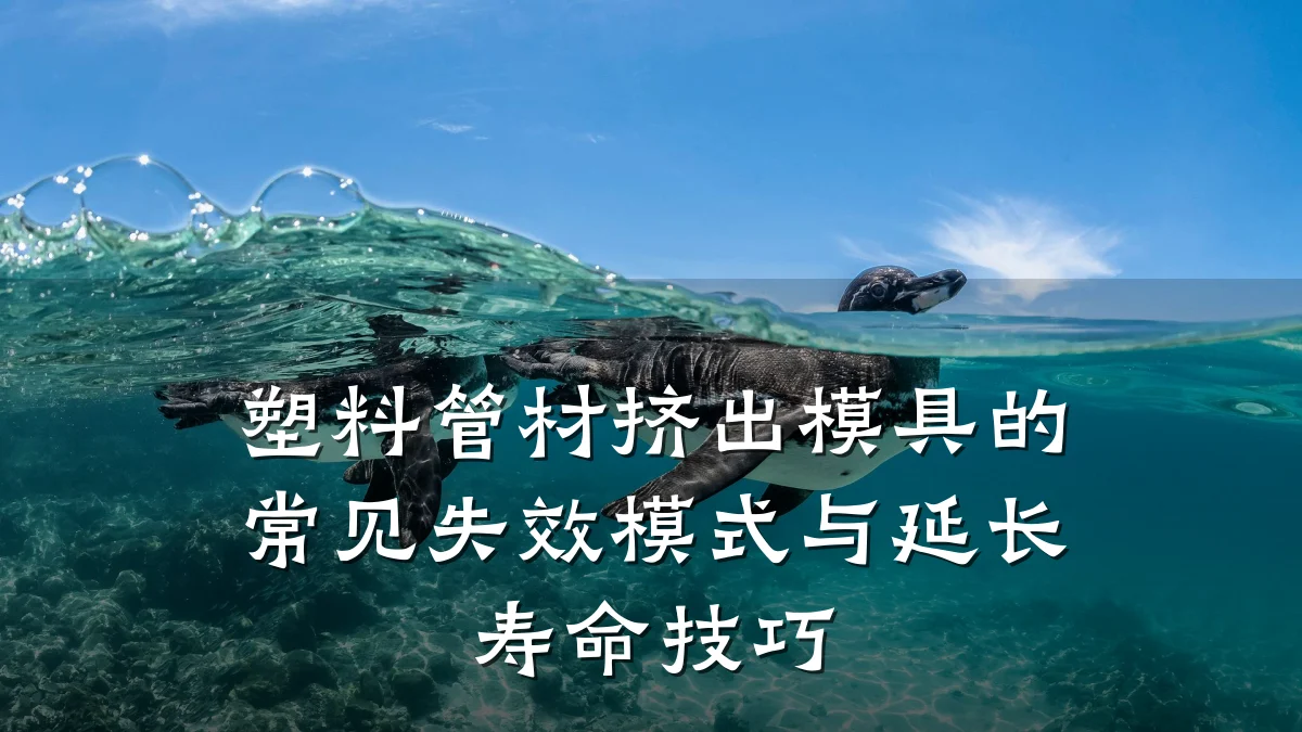 塑料管材挤出模具的常见失效模式与延长寿命技巧