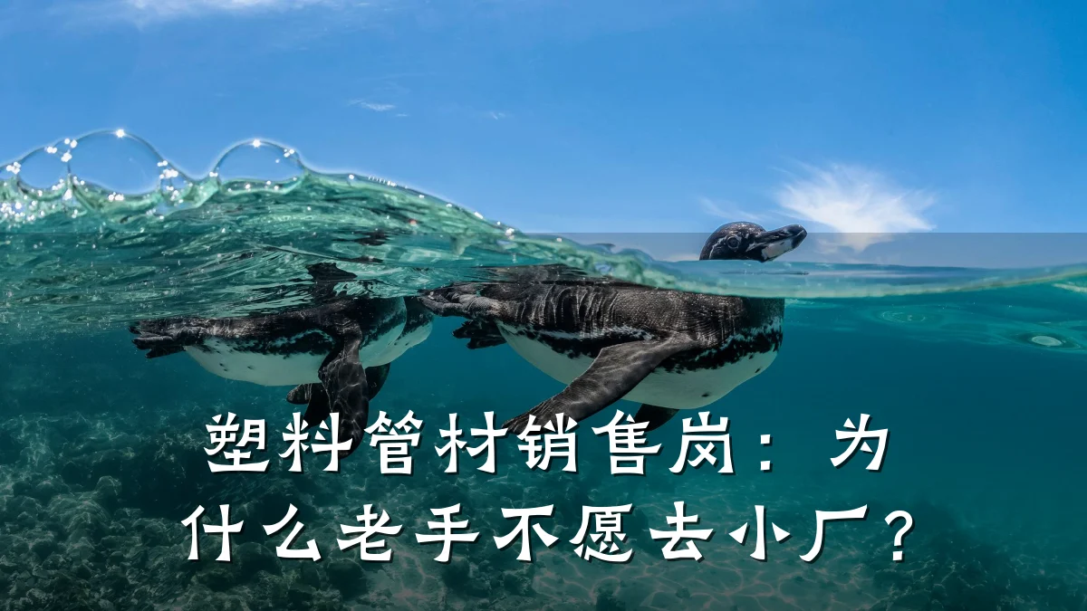 塑料管材销售岗：为什么老手不愿去小厂？