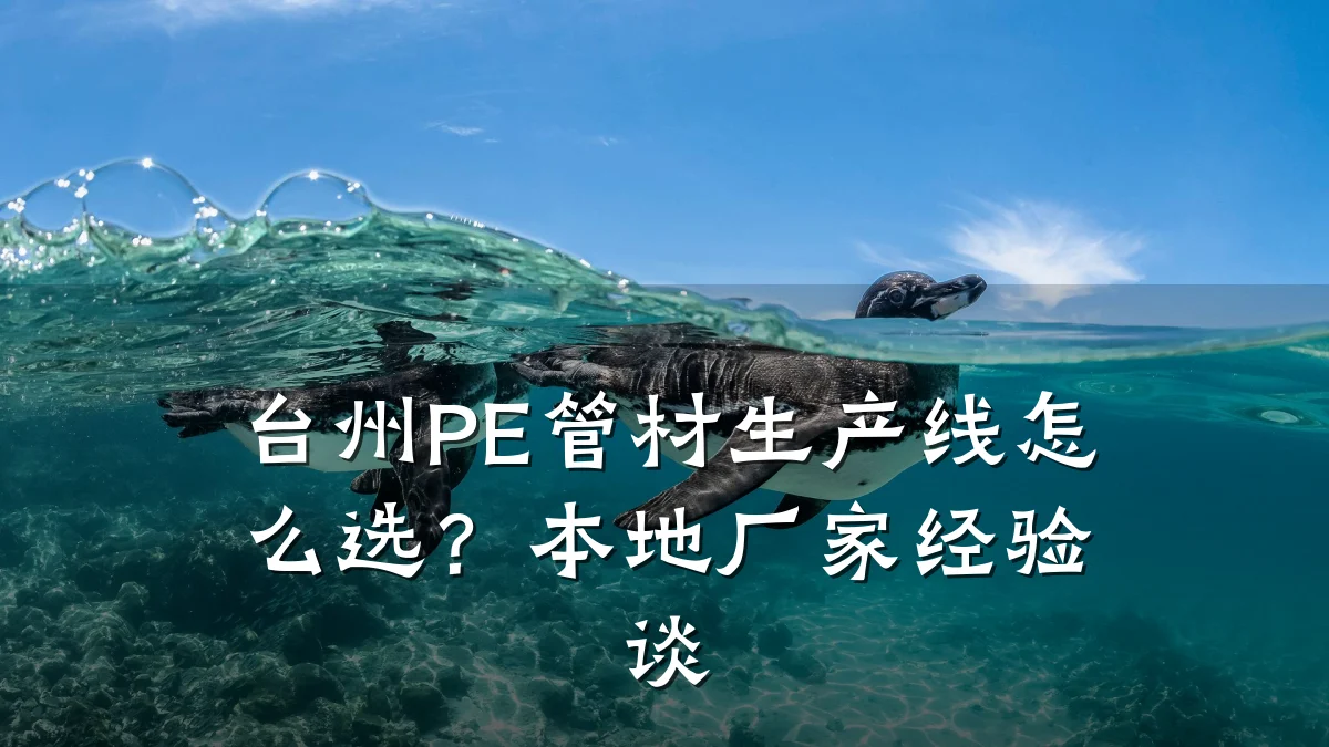 台州PE管材生产线怎么选？本地厂家经验谈