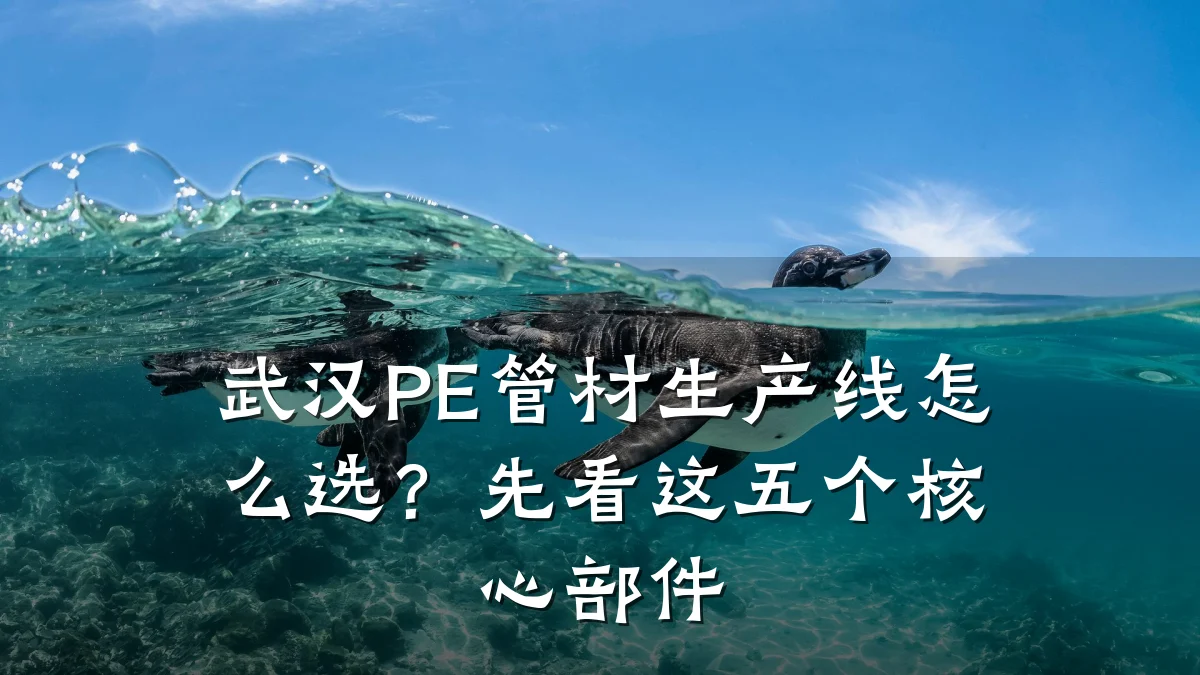 武汉PE管材生产线怎么选？先看这五个核心部件