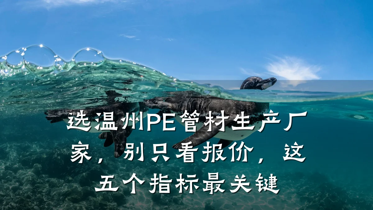 选温州PE管材生产厂家，别只看报价，这五个指标最关键