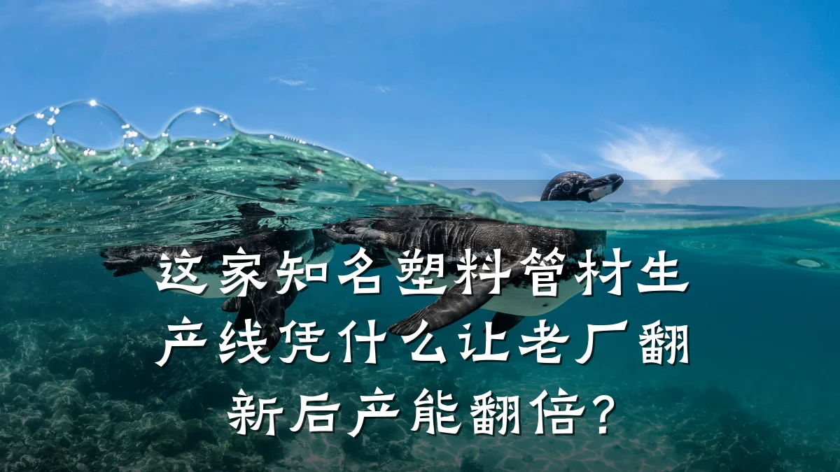 这家知名塑料管材生产线凭什么让老厂翻新后产能翻倍？