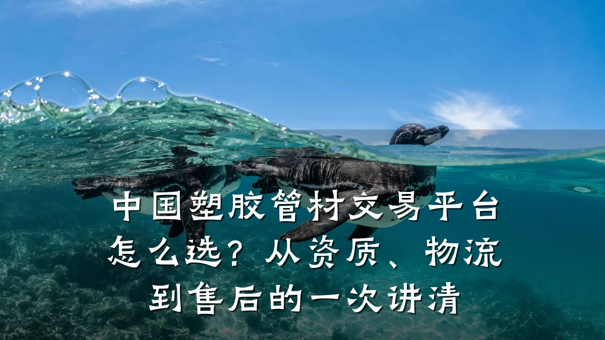中国塑胶管材交易平台怎么选？从资质、物流到售后的一次讲清